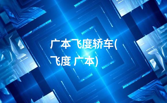 广本飞度轿车(飞度 广本)